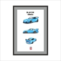 obraz porsche rauh welt.jpg