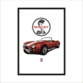 AC Cobra.jpg