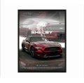 shelby-mockup1.jpg