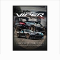 viper mockup1.jpg